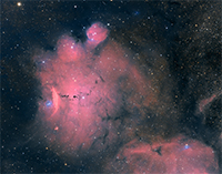 NGC 6559.jpg